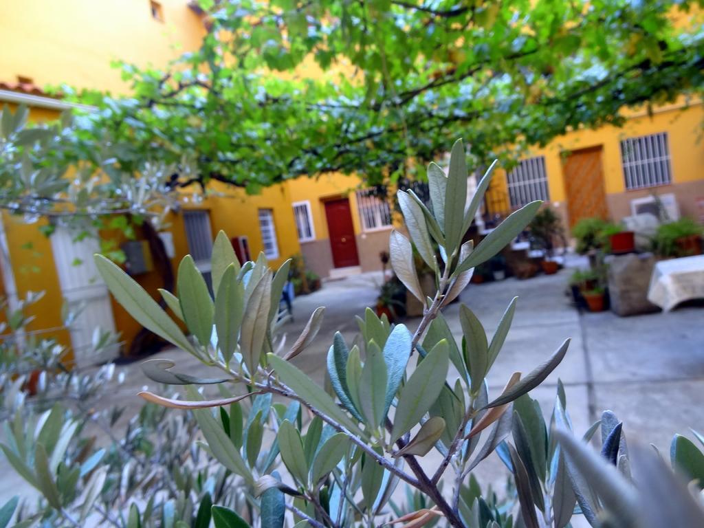 Apartment Olivar Madrid Kamer foto